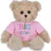 Bearington Ima Big Sister Plush Stuffed Animal Teddy Bear In Pink T-Shirt, 12 Inches -Kids Toys Store GUEST 2b88ae71 b37c 4280 af6d b95b41a2c25e