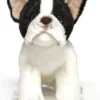 Bearington Oliver Plush French Bulldog Stuffed Animal, 13 Inch