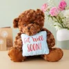 Get Well Soon Bear Plush Pillow, Get Well Soon Bear For Kids, Adults (Dark Brown, 14 In) 2 Get Well Soon Bear Plush Pillow, Get Well Soon Bear For Kids, Adults (Dark Brown, 14 In) -Kids Toys Store GUEST 9737529c cf66 41f0 906e b953ab20713b