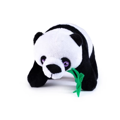 Plush Creations Pandas Set 6 Plush Creations Pandas Set - Image 4