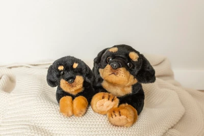 Bearington Rottweiler Dog Stuffed Animal: Black And Tan Plush Fur 15 Inches 6 Bearington Rottweiler Dog Stuffed Animal: Black And Tan Plush Fur 15 Inches - Image 4